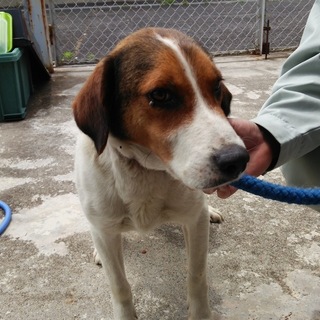 繋がりました。ありがとうございました