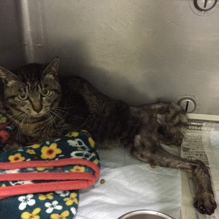 とても優しい人が手を差し伸べて下さいました