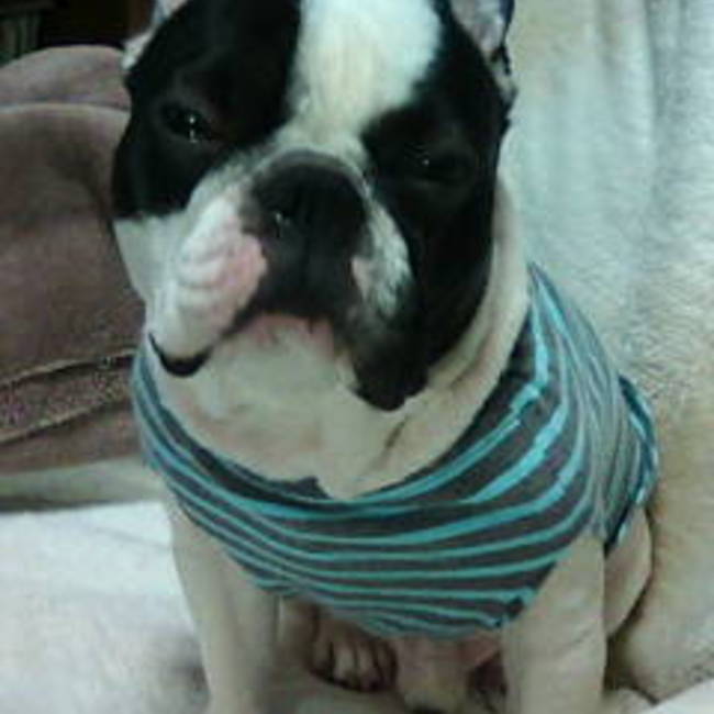 槇広のカバー写真