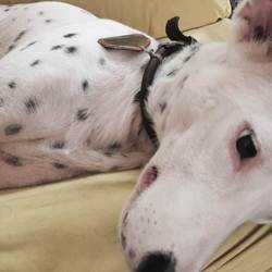 おひるねの時間