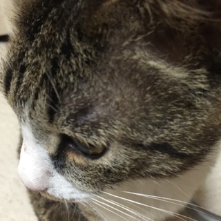 可愛がってくれる方探してます！