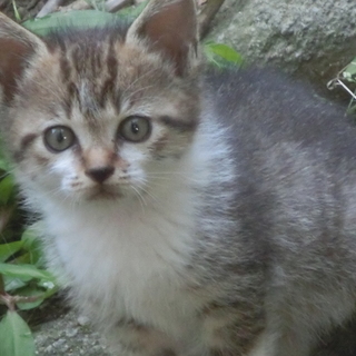 良い方に里親になっていただき感謝しています。