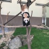 ぜったんまん