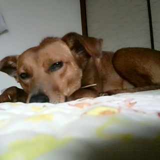 Mix元気な女の子＼(^o^)／