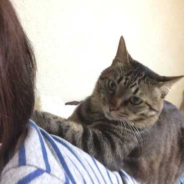 の写真