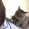 の写真
