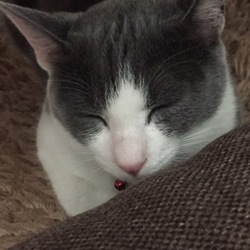 ヤンチャしてます