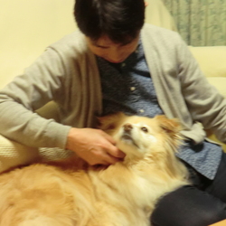 チョビ、大好きだよ。