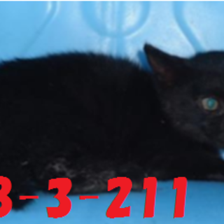 迎えていただきました♪ありがとうございました☆