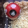 名前どうしようかな