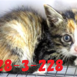 決まりました！！有り難うございます(^^♪