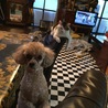 寧々とティアラ、仲良し