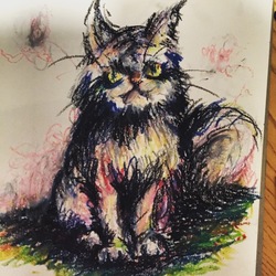 cat❤︎