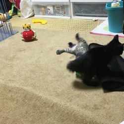 時には強く出なければなりません。