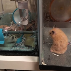 幸せな家庭にいってらっしゃい.+*:ﾟ+｡.☆