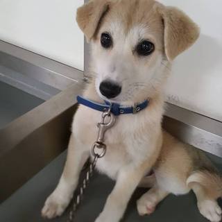 すでに美少女、3か月ぐらいのようこちゃん！