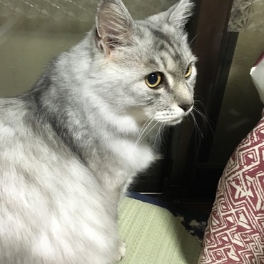 どこみてるのかな？