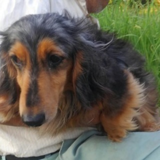 ダッキー　　おとなしい子です