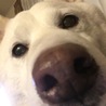 もりわきのの