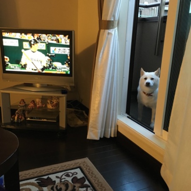 もりわきのののカバー写真