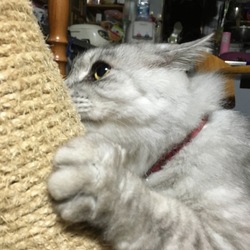 14歳のおじいちゃん‼️