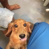 よこのり