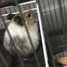 寝床でちょこんと座ってます♡