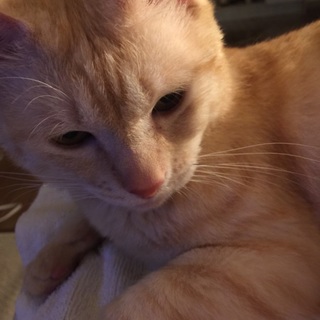 性格良いです！！女性もしくは家族持ちの方限定で！