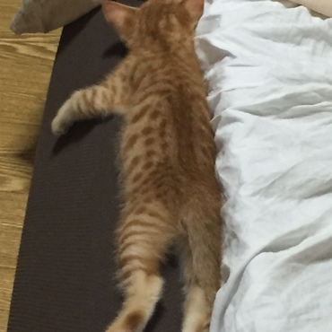 足ぴーん