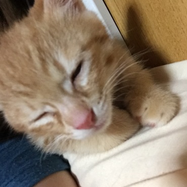 寝ちゃう…