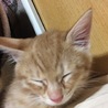 寝ちゃった