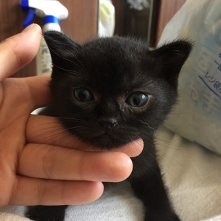 真っ黒男の子☆