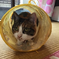 マチルダ