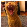蓮ママ★
