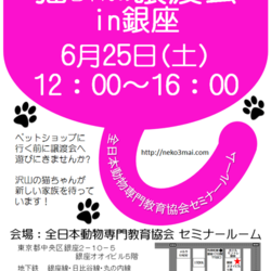 銀座会場！６月２５日(土)『ねこざんまい譲渡会』沢山の子猫ちゃんたちが新しい家族を待っています♪