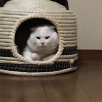 おっさん