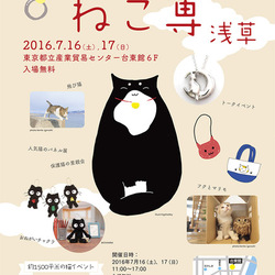 ねこ専！7月1７日(日)『ねこざんまい譲渡会』第2部　14時～15時30分