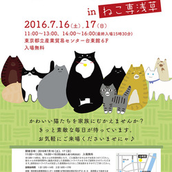 ねこ専！7月1７日(日)『ねこざんまい譲渡会』第1部　11時～13時