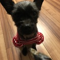 かわいがって下さる方
