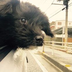 poralの記録 2016/6/12