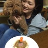モカ君