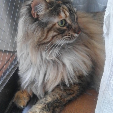 今のお気に入りの場所。