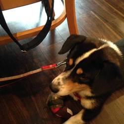 望くん、レストラン初体験！