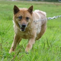 よつばちゃん、超ご機嫌斜め