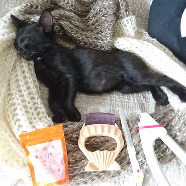 寝ている間に…