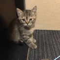 ちょっぴり大人しいゆずちゃん