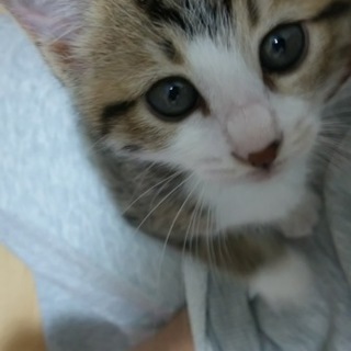 性格＆人馴れ◎の美少女　