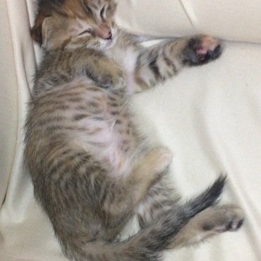 2日目にして超リラックスモードです（笑）