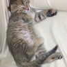 2日目にして超リラックスモードです（笑）