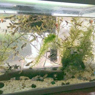 里親様決まりました！